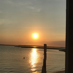 Meet your Posher, Elissa